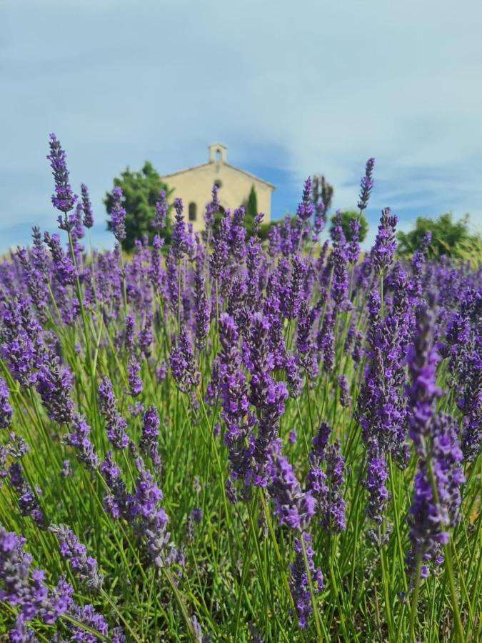 La Parenthese Villa Entrevennes Buitenkant foto